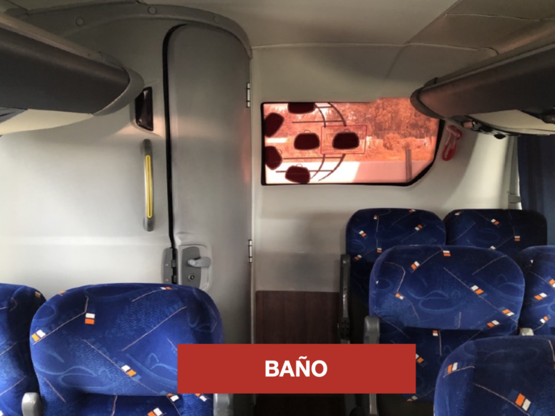 Neobus