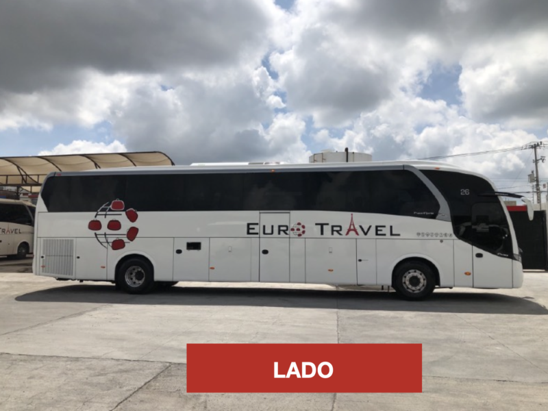 Neobus